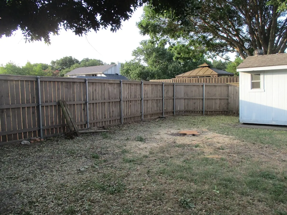 Cleared yard after professional tree removal in Short Creek